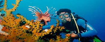 Tourists are enjoying Diving and snorkeling at Mun Island - TL407